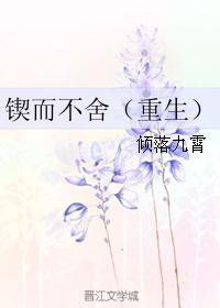 锲而不舍txt
