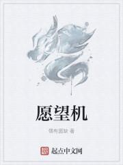 愿望机图纸