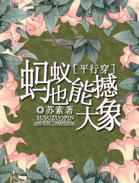 蚂蚁能不能抬起大象