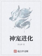神宠进化人物介绍