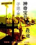 附赠神奇宝贝之歧途