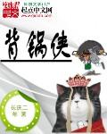 背锅侠的意思