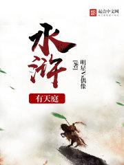 水浒天王是谁