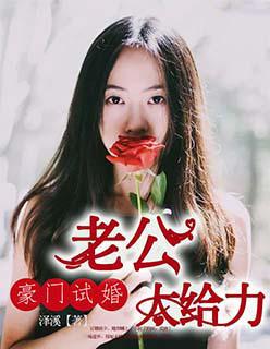 豪门老公不好惹