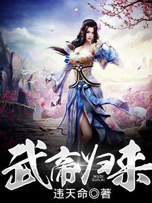 武帝归来百科