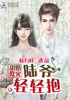 甜蜜闪婚陆少请节制