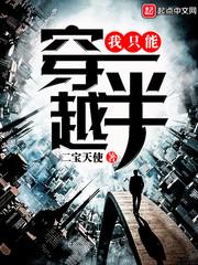 我只是一个穿越者