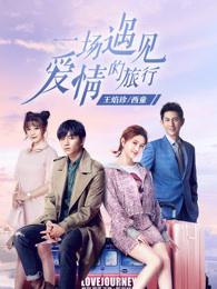一场遇见爱情的旅行黄雄是什么人