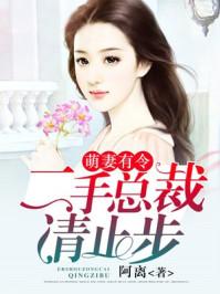 二手总裁请止步txt