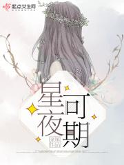 星夜是什么意思