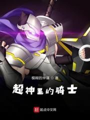 超神学院里的骑士