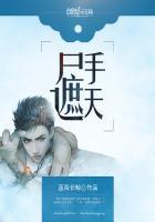 只手遮天手游