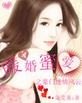 豪门暖婚蜜爱742章