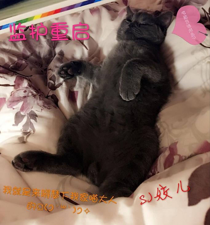 重症监护室