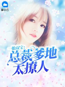 一胎双宝总裁爹地有点甜全文免费阅读