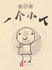 我只是一个小人物的翻译