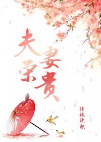 夫荣妻贵大结局