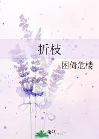 折枝三朵花七瓣是什么动物