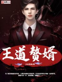 赘婿丹王