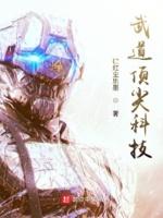 武道巅峰阅读