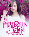 首席宠妻百分百全文阅读