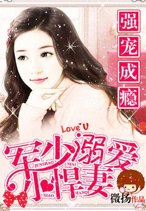 军少溺宠小小妻