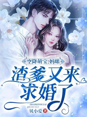 霸总追妻gl