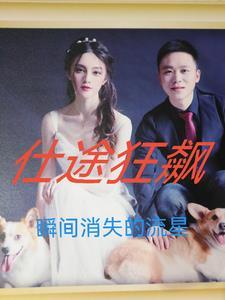 免费阅读仕途