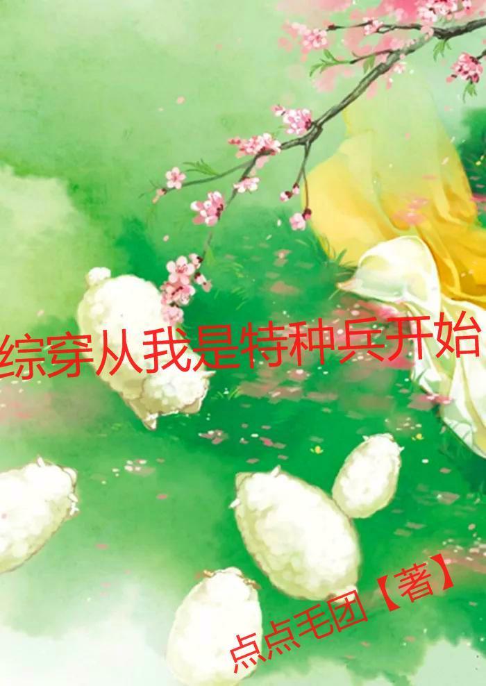 综影视之我是特种兵