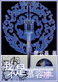 我不是慕容冲主角