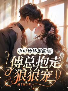小可怜免费阅读