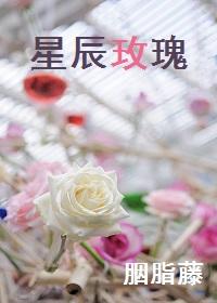 星辰玫瑰陨星项链是真的吗