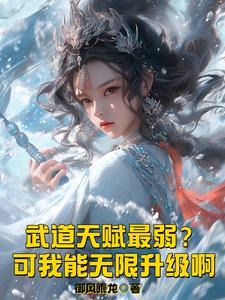 武道层次