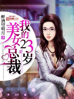 我的23岁美女总裁南宫冰