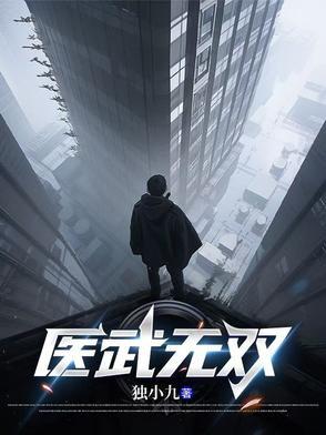 医武无双陈风
