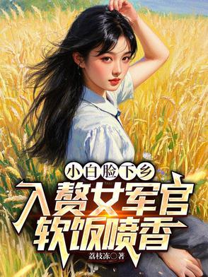 小白脸文