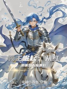 领主游戏攻略