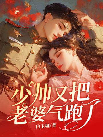 少帅老婆又跑了txt