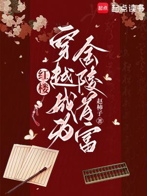 穿越红楼玩金钗阅读