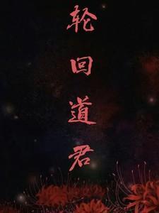 轮回道适合什么式神