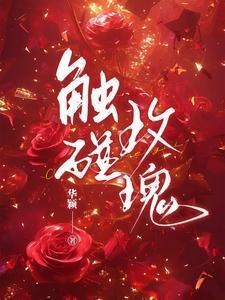 触碰这首歌是谁写的歌