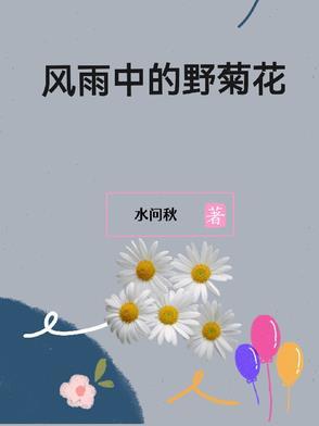 风雨中的菊花原文节选