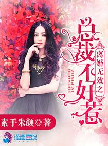 总裁离婚无效请签字