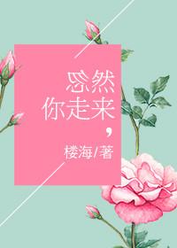 忽然你走来书评