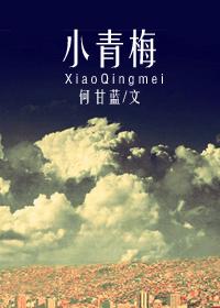 小青梅春风榴火txt百度
