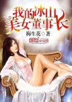 我的冰山美女总裁改编