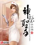 神医圣手TXT