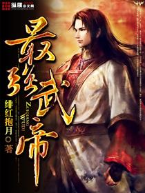 最强武帝杨奇