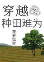穿越之种田养家不易免费阅读