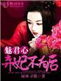 弃妃魅君心书评